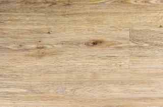 Acoustic Click 50 HOME Dub Tundra