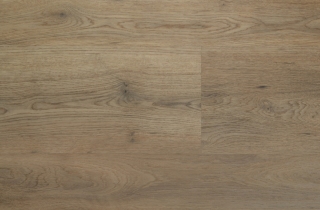 Acoustic Click Dub Vigo